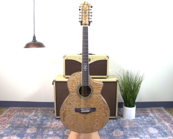 Ibanez - Exotic Wood - 12-string Electric Acoustic - w/Gigbag - Image 2