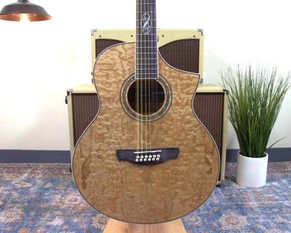 Ibanez - Exotic Wood - 12-string Electric Acoustic - w/Gigbag