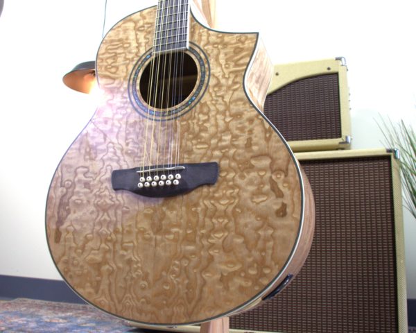 Ibanez - Exotic Wood - 12-string Electric Acoustic - w/Gigbag - Image 4